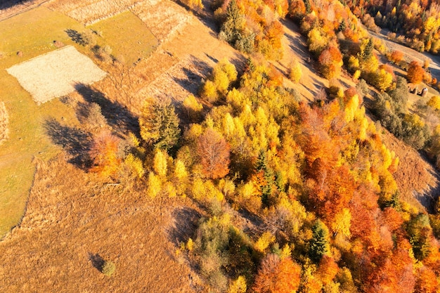 Campi raccolti sul pendio della montagna sotto il cielo senza nuvole