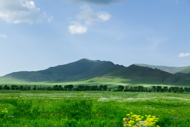 Campi verdi, alberi e montagne in primavera