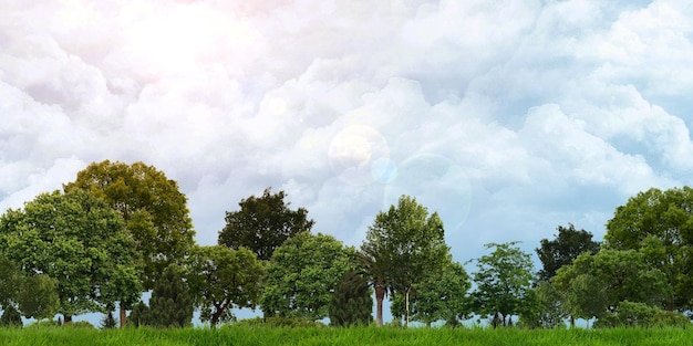 Campi verdi e alberi Cielo nuvoloso il sole splende Vista panoramica illustrazione 3D