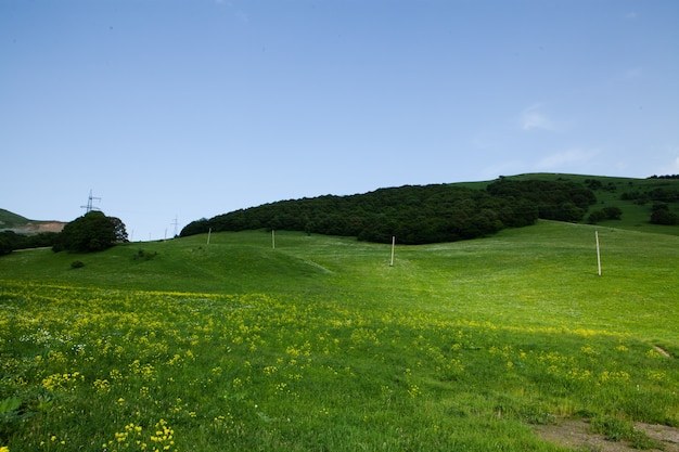 Campi verdi e colline in primavera