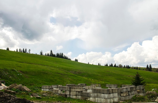 Campi verdi e colline