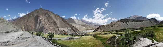 Campi verdi intorno al villaggio di Kagbeni in Himalaya