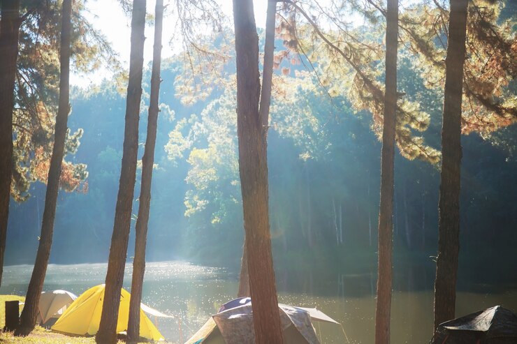 Foto camping con sunrise.