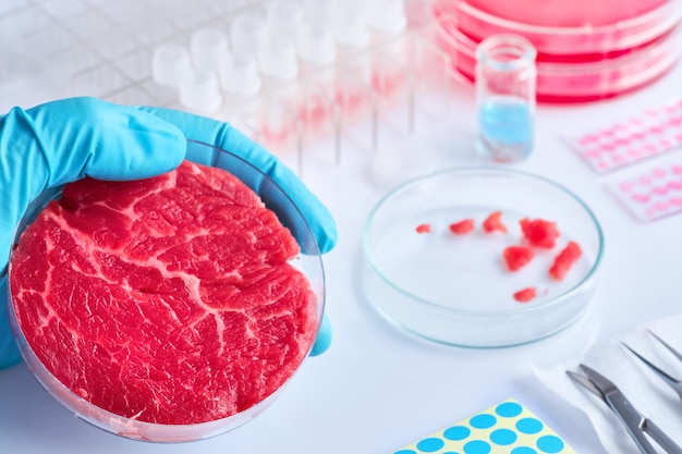 Campione di carne in scatola di plastica aperta