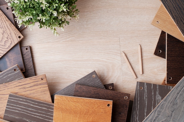 Campione di materiali in legno per l'interior design con pianta