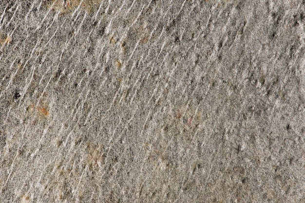Campioni di pietra grigia con motivo ondulato per la struttura interna della pietra naturale pietra naturale su