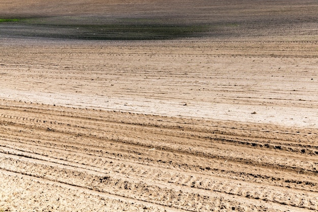 Campo agricolo arato per piantare un nuovo raccolto di piante