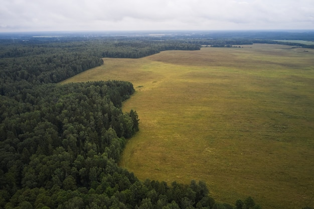 Campo agricolo con bosco vicino, estate, vista dall'alto