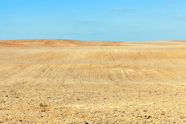 Campo agricolo durante la preparazione per la semina di nuove piante coltivate