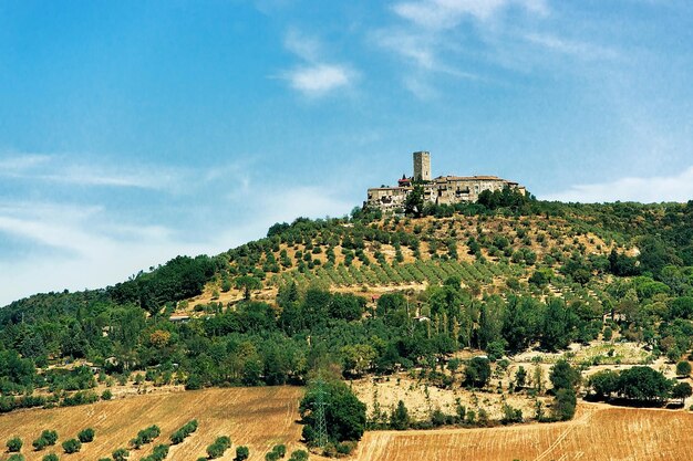 Campo agricolo e antico castello con torre in estate