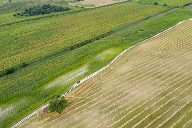 campo agricolo seminato vista dall'alto