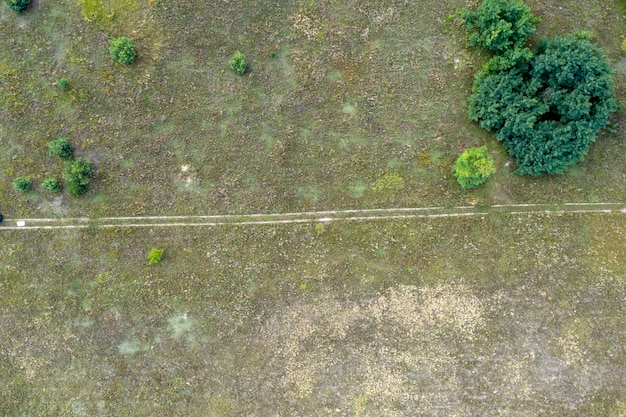 campo agricolo seminato vista dall'alto