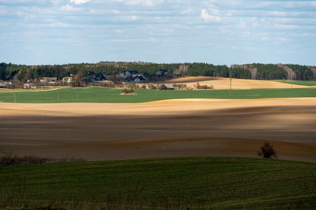 Campo agricolo vicino a grandi città Precarie condizioni per lo svolgimento dell'agrobusiness e la coltivazione di colture in un luogo sfavorevole Inquinamento ambientale