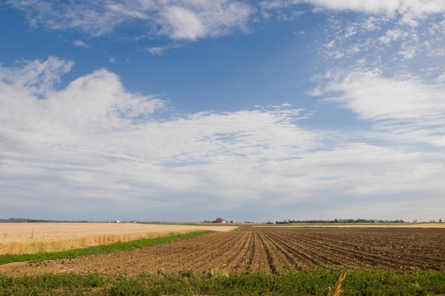 Campo agricolo vuoto a Fort Collins, Colorado.