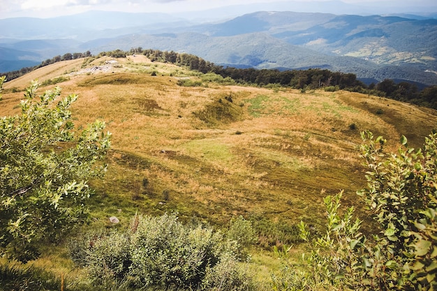 Campo aperto in montagna