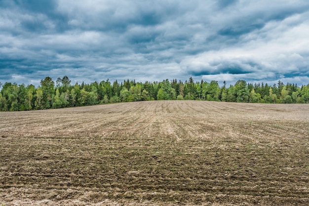 Campo arato agricolo e vista sulla campagna rurale del suolo