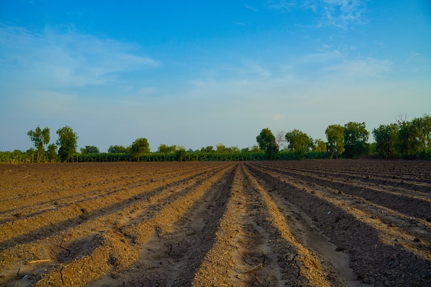 Campo arato. Agricoltura, terreno prima della semina. Tessitura del terreno fertile, paesaggio del campo rurale.