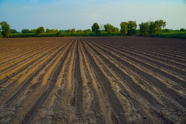 Campo arato. Agricoltura, terreno prima della semina. Tessitura del terreno fertile, paesaggio del campo rurale.