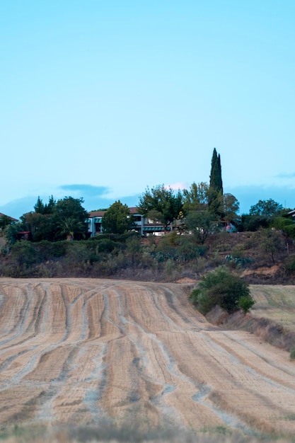 Campo arato con cespugli di alberi dai toni dorati e cielo limpido