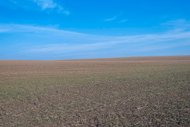 Campo arato e cielo blu come sfondo