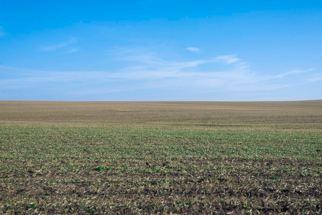 Campo arato e cielo blu come sfondo