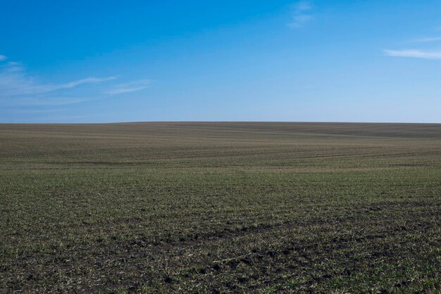 Campo arato e cielo blu come sfondo