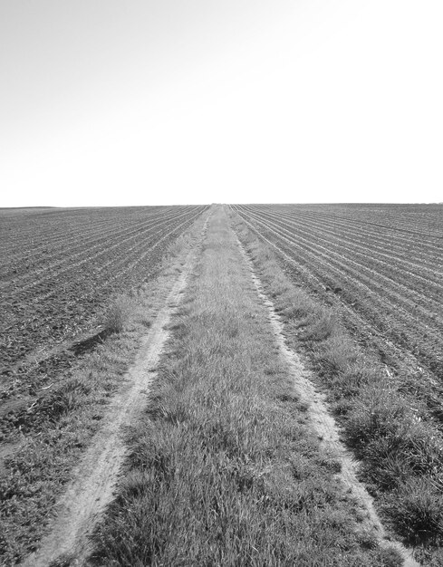 Campo arato per la patata in suolo marrone in campagna aperta