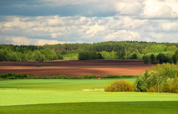 Campo arato preparato per piantare colture in primavera Paesaggio con nuvole sul cielo blu in prospettiva