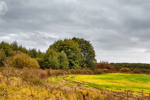 Campo autunnale. Strada nel campo autunnale. Cielo drammatico e alberi di arancio.