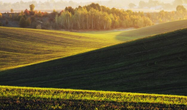 campo autunnale