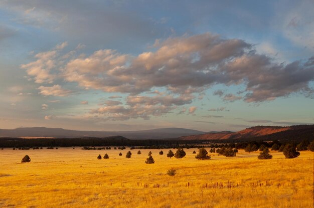 campo autunnale