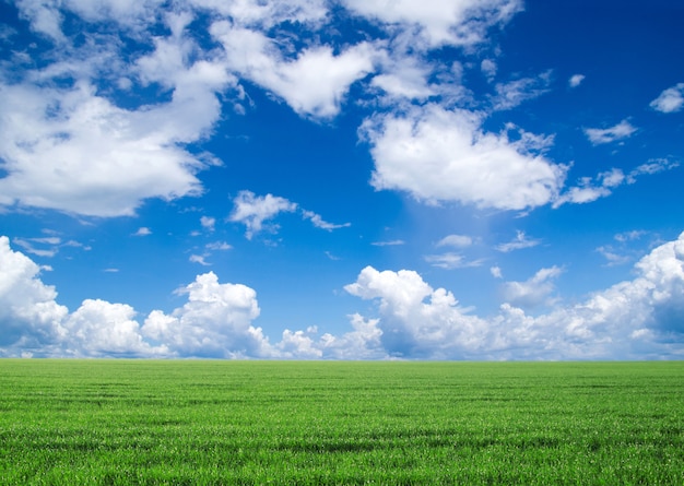 Campo con cielo e nuvole