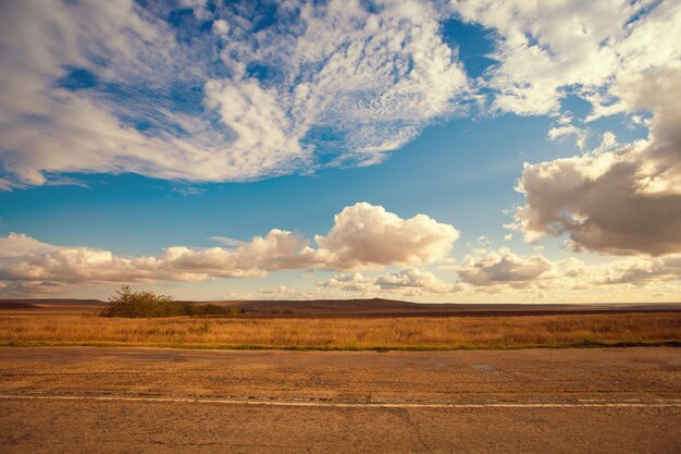 Campo con cielo nuvoloso