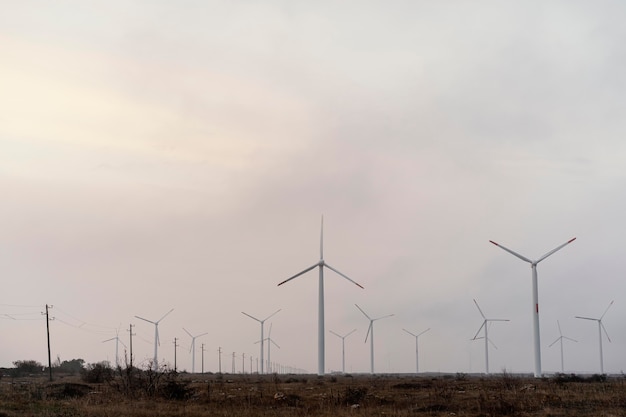 Campo con molte turbine eoliche