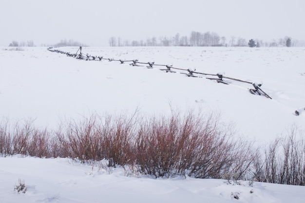 Campo coperto di neve al parco nazionale di Great Teton.