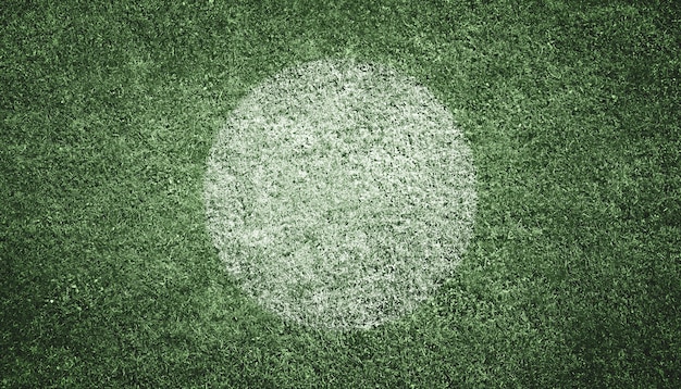 campo da calcio con punto bianco al centro