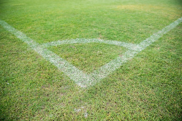 Campo da calcio