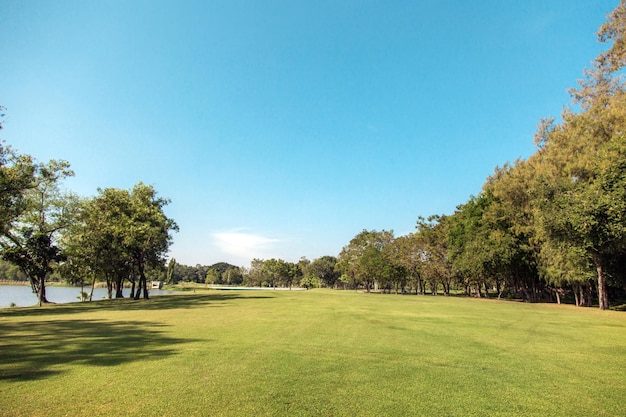 Campo da golf Green Way per lo sfondo Il golf è famoso sport all'aria aperta e utilizza molto terreno e albero