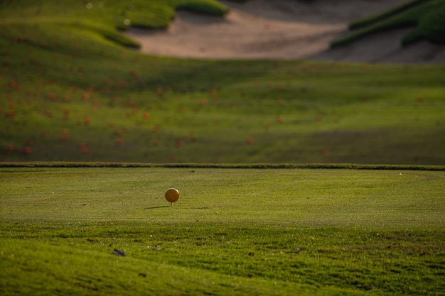 campo da golf paesaggio estivo