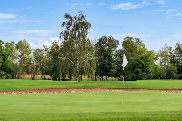 Campo da golf verde con alberi e bandiera