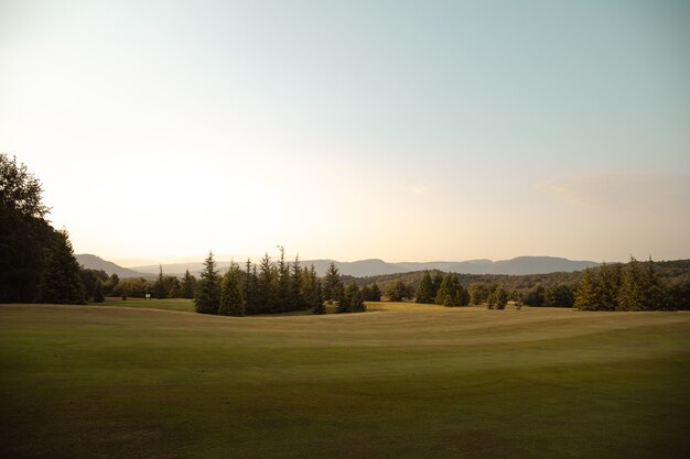 Campo da golf verde in Spagna con la foresta