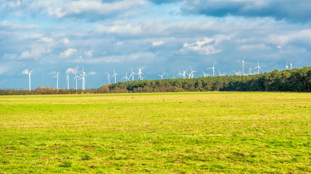 Campo delle turbine eoliche