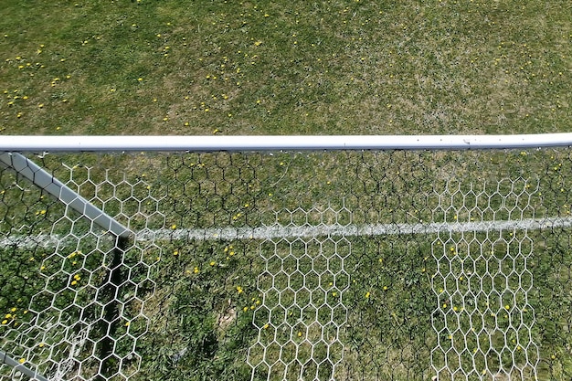 campo di calcio di campagna con fiori in giornata di sole