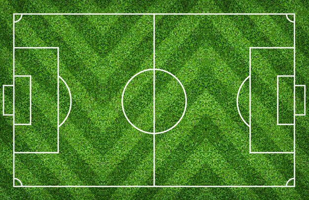 Campo di calcio o campo di calcio per lo sfondo. Prato verde per creare gioco.