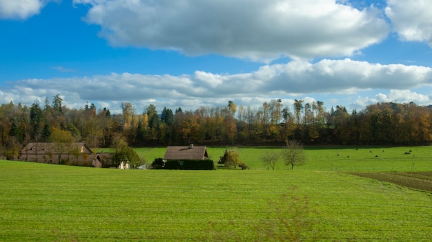 Campo di campagna con cielo blu