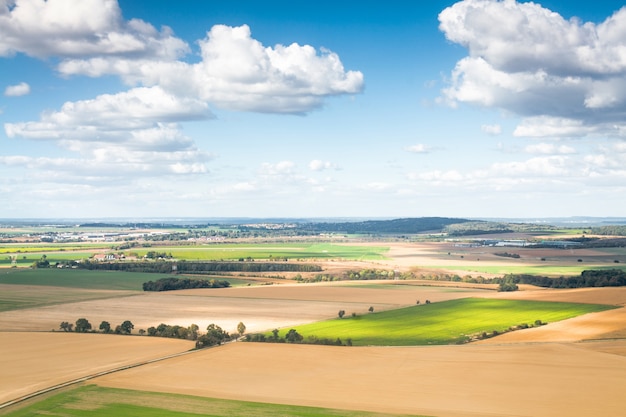 campo di erba lussureggiante soleggiato luminoso sotto il cielo blu soleggiato. Natura di prato campagna all'aperto