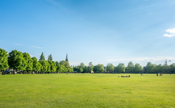 Campo di erba verde a Cambridge