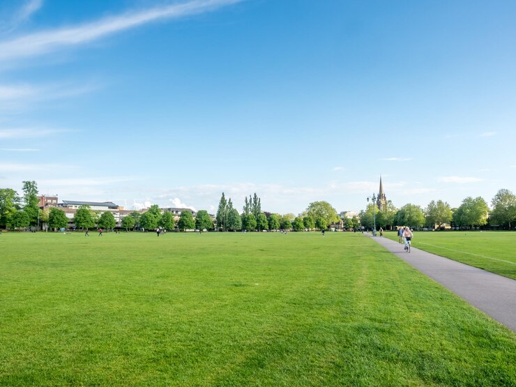 Campo di erba verde a Cambridge