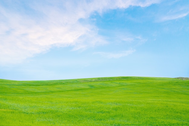 Campo di erba verde con nuvole bianche