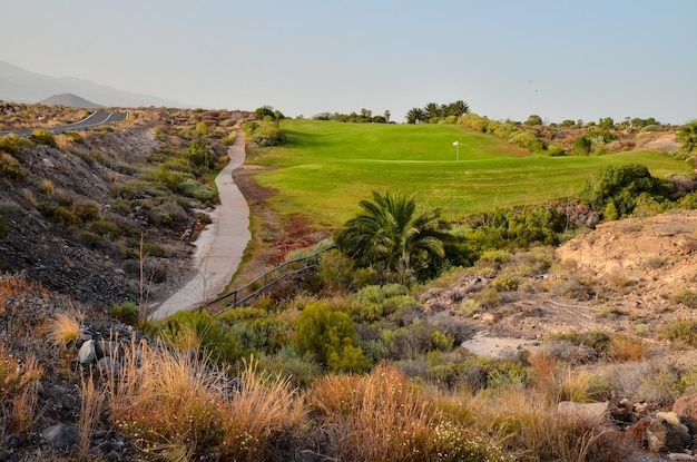 Campo di erba verde di golf